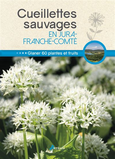 Cueillettes sauvages en jura-franche-comte