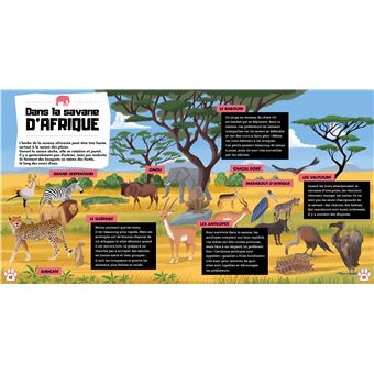 Dis pourquoi Les animaux sauvages