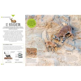 La vie sauvage des bébés animaux