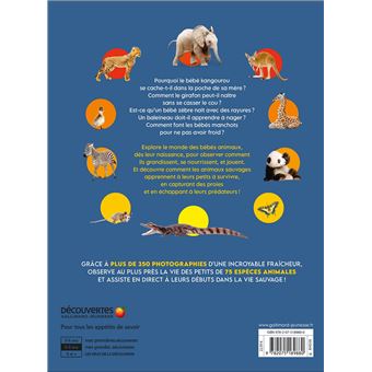 La vie sauvage des bébés animaux