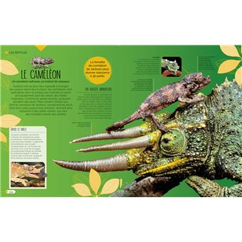 La vie sauvage des bébés animaux