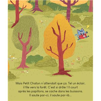 Petit Chaton cherche sa maman