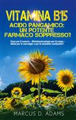 Vitamina B15 - Acido Pangamico: un potente farmaco soppresso?