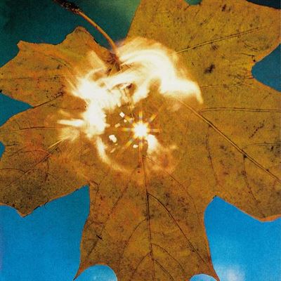 Force Of The Wind Vinyle Transparent
