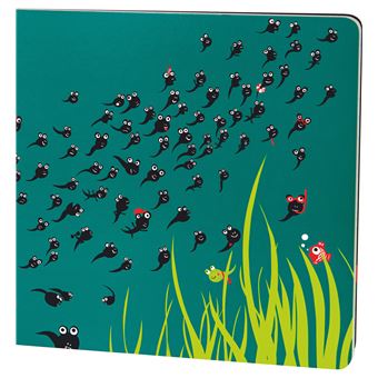 Où te caches-tu, Kiki ?