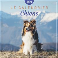 Agenda Et Calendrier Animaux Agendas Et Calendriers Livre Bd Soldes Fnac