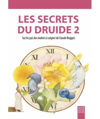 Les Secrets du druide 2 - ANNICK MONOD - broché