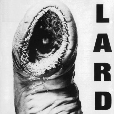 Power of Lard