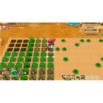 Story of Seasons : Friends of Mineral Town PS4