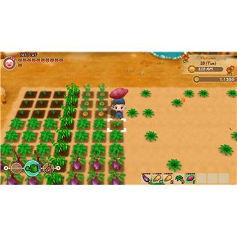 Story of Seasons : Friends of Mineral Town PS4