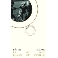 La Fin d'un roman de famille