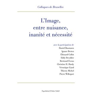 L' Image, entre nuisance, inanité et nécessité