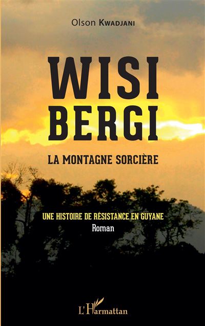 Wisi Bergi