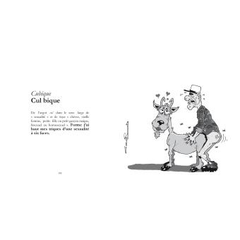 Le dico des gros mots cachés dans les mots