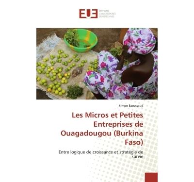 Les micros et petites entreprises de Ouagadougou, Burkina Faso