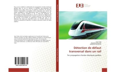 Detection de defaut transversal dans un rail - par propagati