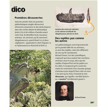 Les dinosaures