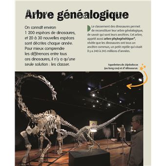 Les dinosaures