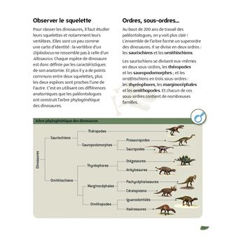 Les dinosaures