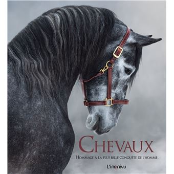 Chevaux : Hommage à la plus belle conquête de l'homme