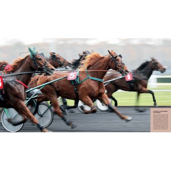 CHEVAUX - ŽHommage à la plus belle conquête de l'Homme