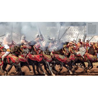 CHEVAUX - ŽHommage à la plus belle conquête de l'Homme