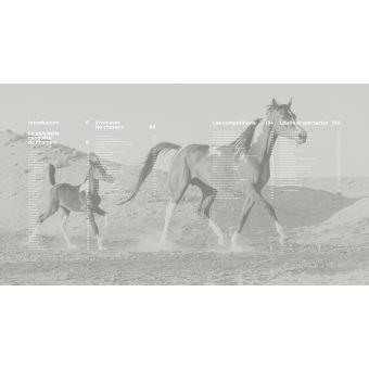 CHEVAUX - ŽHommage à la plus belle conquête de l'Homme