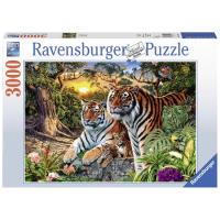 Verstopte tijgers puzzel - 3000 stukjes