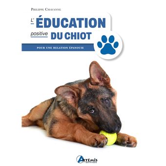 L'éducation positive du chiot