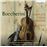 Box Set Boccherini: Complete Violin Sonatas, Vol.1 - 5 CDs