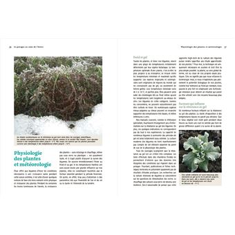 Un potager au coeur de l'hiver