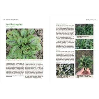 Un potager au coeur de l'hiver