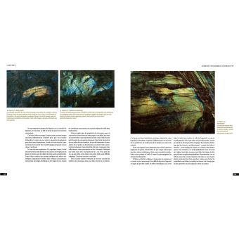 L'Essence de la photographie