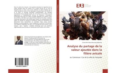 Analyse du partage de la valeur ajoutee dans la filiere avic