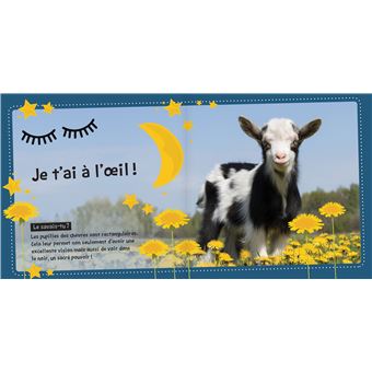 Bébés animaux de la ferme