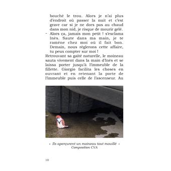 Moineau sans abri : Inès piaffe d'impatience