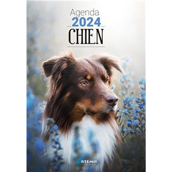 Agenda scolaire 2023/2024 Chien chiot animaux