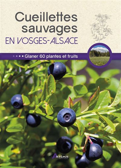 Cueillettes sauvages en vosges alsace