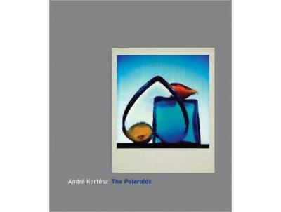 Andre-Kertesz-the-polaroids.jpg
