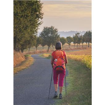 Compostelle Le grand pèlerinage
