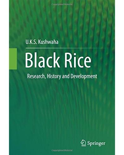 Black rice