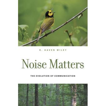Noise Matters - 1