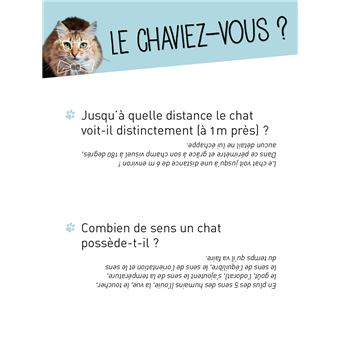 Boîte Quiz Chat