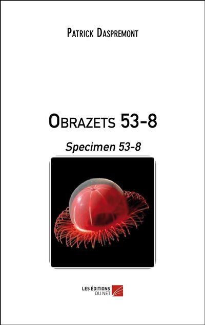 Obrazets 53-8 - specimen 53-8