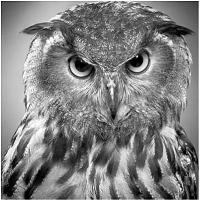 Beyond the wizard sleeve