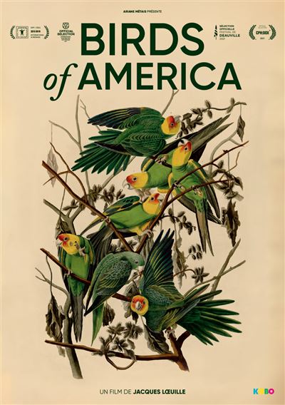 Birds Of America DVD
