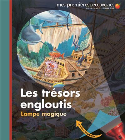 J'observe les trésors engloutis