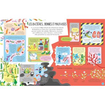 Les microbes - Découvrons ensemble