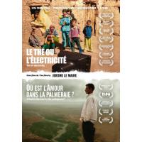 Le thé ou l'électricité - Où est l'amour dans la Palmeraie DVD