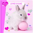 Lapins coquins